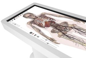 image of a skeloton on an anatomage table