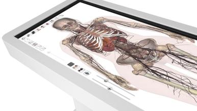 photo of electronic anatomy table showing an image of a skeleton