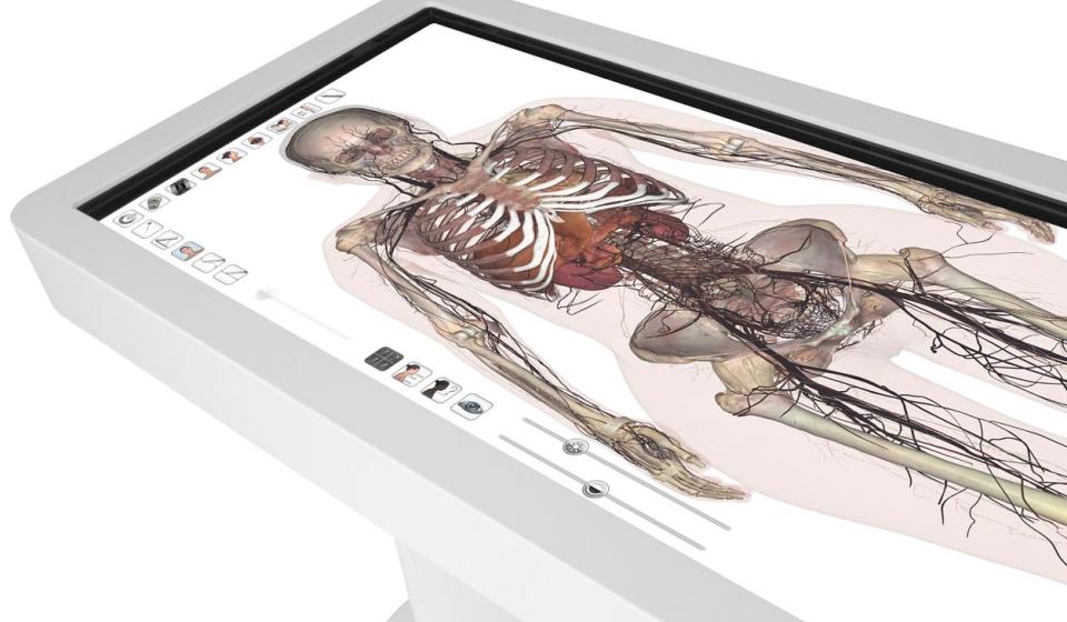 image of an anatomage table