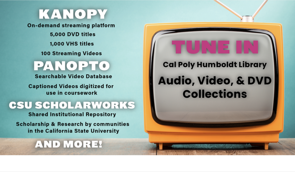 Audio, Video, & DVD Collections