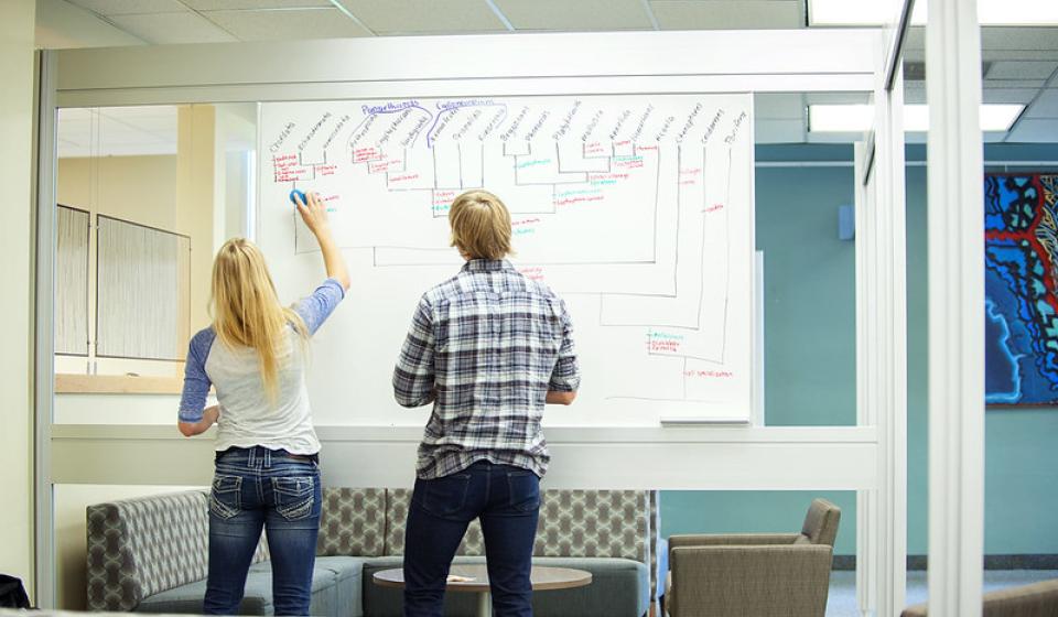 photo of the backs of two people writing on a whiteboard